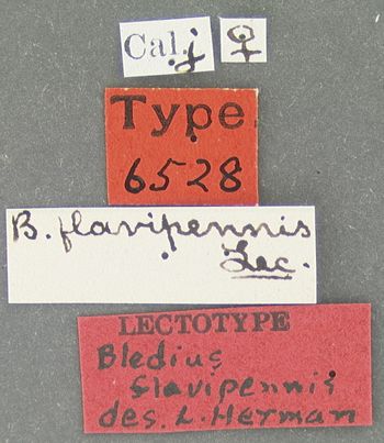 Media type: image;   Entomology 6528 Aspect: labels